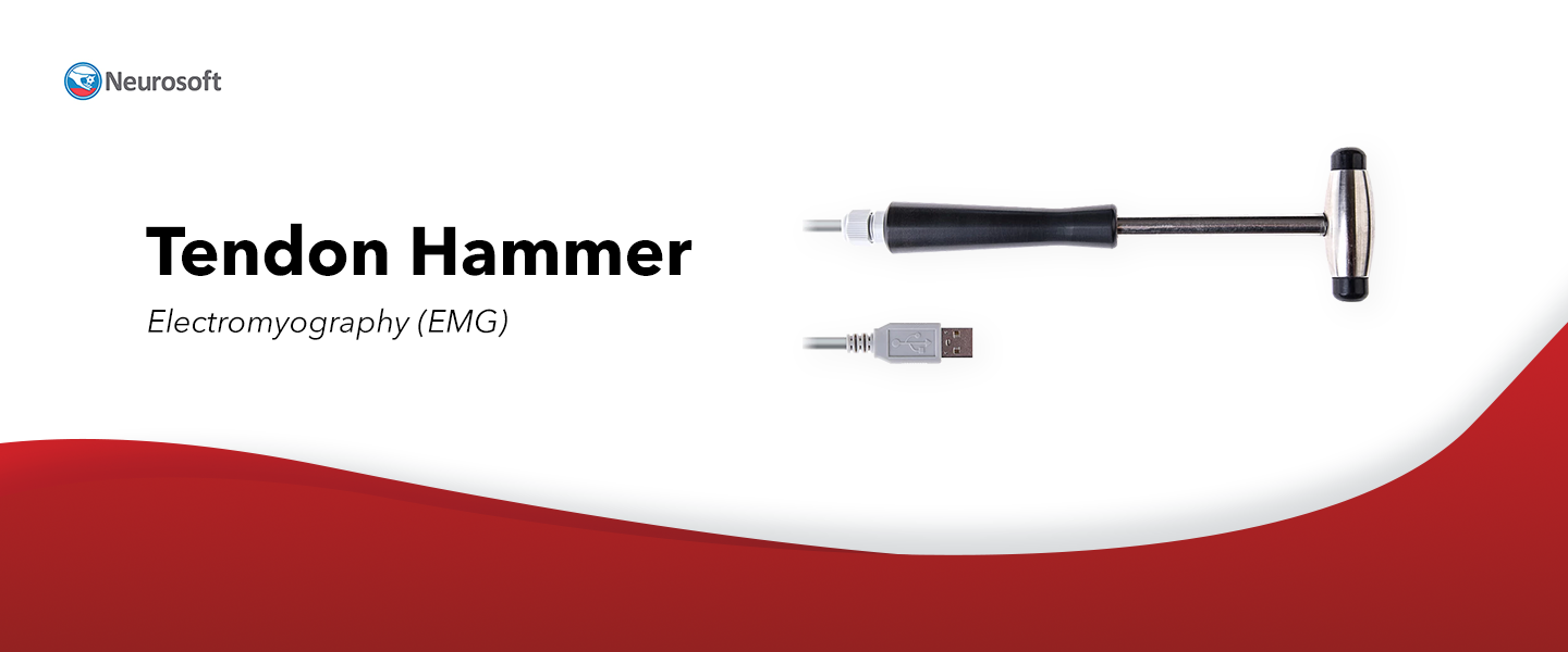 Tendon Hammer